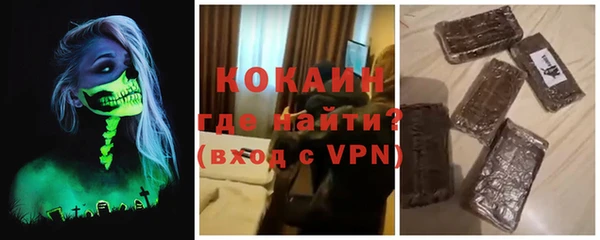 ECSTASY Алзамай