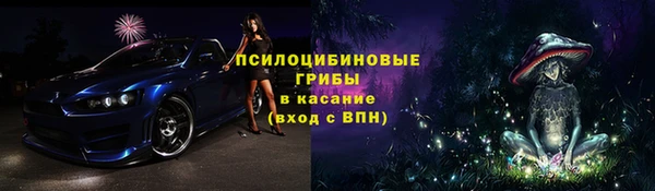 ECSTASY Алзамай