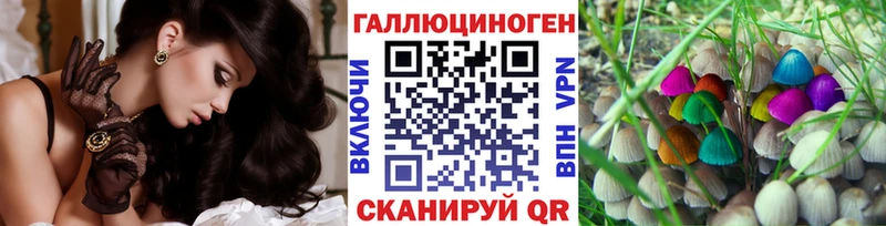 KRAKEN онион Кукмор Псилоцибиновые грибы Cubensis
